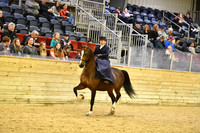 92 HA/AA Ladies Side Saddle Open