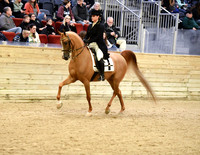 13 HA English Show Hack ATR