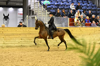 98 AHA Saddle Seat Medal JTR