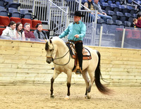 119 A HA/AA Western Pleasure Junior Horse Mares & Geldings
