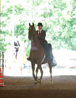 066 Cob Open English Pleasure Stake