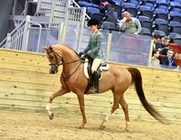 133 HA/AA Hunter Pleasure JOTR