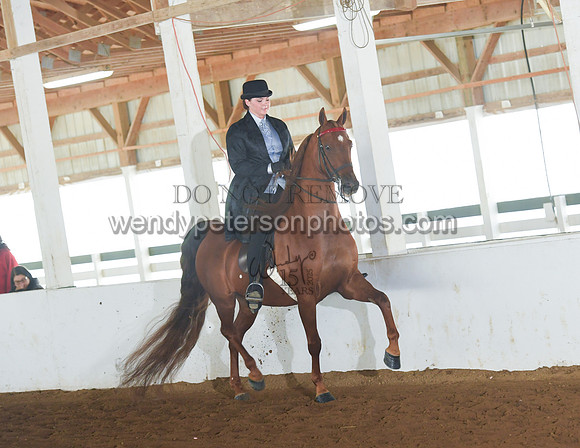 050_2313-Do_not_copy_PROOF