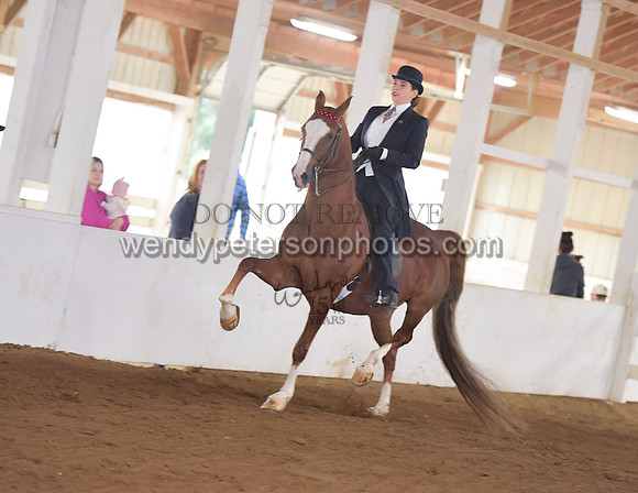 032_2075-Do_not_copy_PROOF