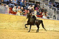 115 HA/AA Country English Pleasure AATR 40 & Over