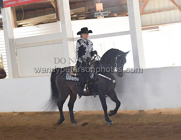 004_1558-Do_not_copy_PROOF