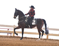 6. ASB Western Country Pleasure, Adult Am./Jr. Exh.