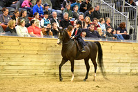 72 Country English Pleasure Walk Trot 10 & Under
