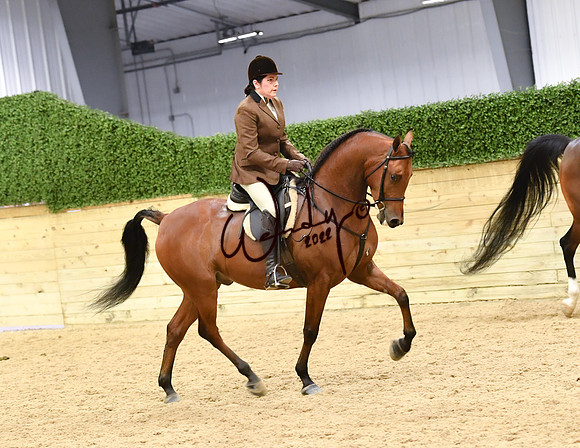 066_7890-Do_not_copy_PROOF