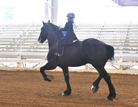 25. W/T Saddle Seat Equitation, 10 & Under (Any Breed)