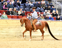 53 PB Western Pleasure Open