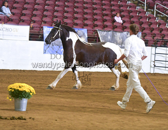 2026BPANA10-7068-Do_not_copy_PROOF