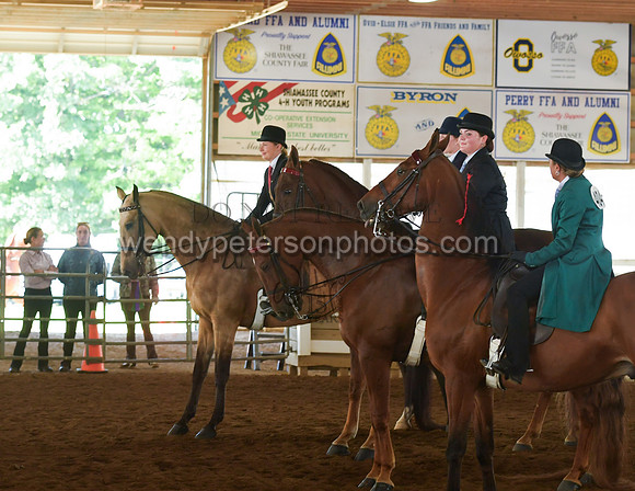 066_2390-Do_not_copy_PROOF