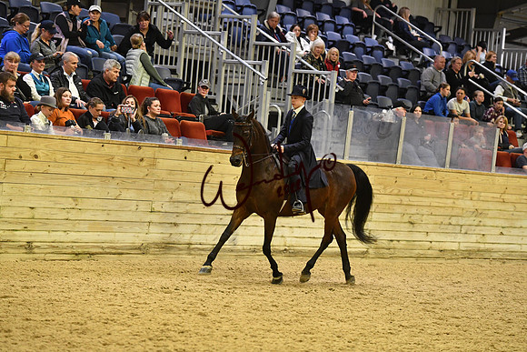 082_8346