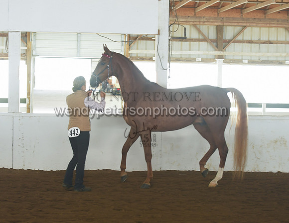 075_2262-Do_not_copy_PROOF