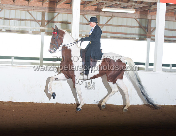 050_2290-Do_not_copy_PROOF