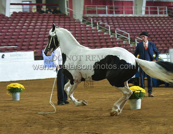 2026BPANA10-6634-Do_not_copy_PROOF