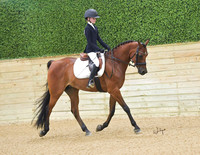 Hall; Digital Files Ready for Download