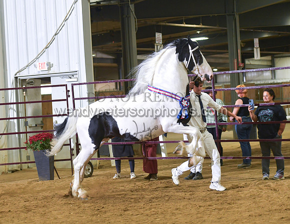2026BPANA10-7483-Do_not_copy_PROOF