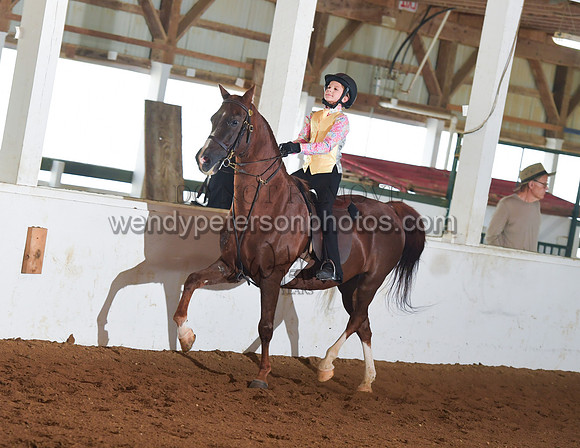 084_2525-Do_not_copy_PROOF