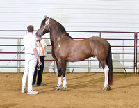 38 Galileo