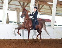 067 Prospect Snaffle Walk Trot Open