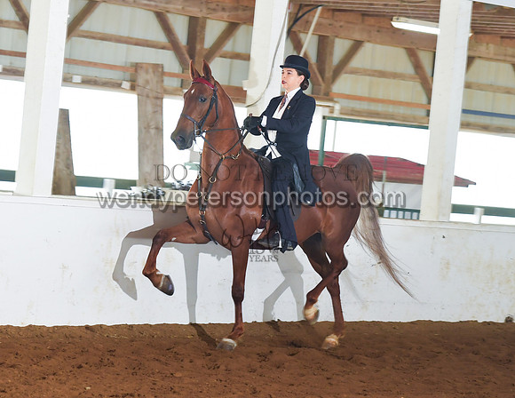 067_2396-Do_not_copy_PROOF