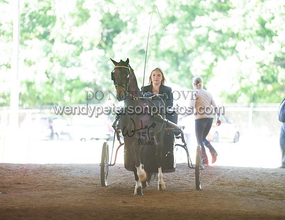 055_2342-Do_not_copy_PROOF