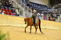 105 PB Western Pleasure AATR 40 & Over