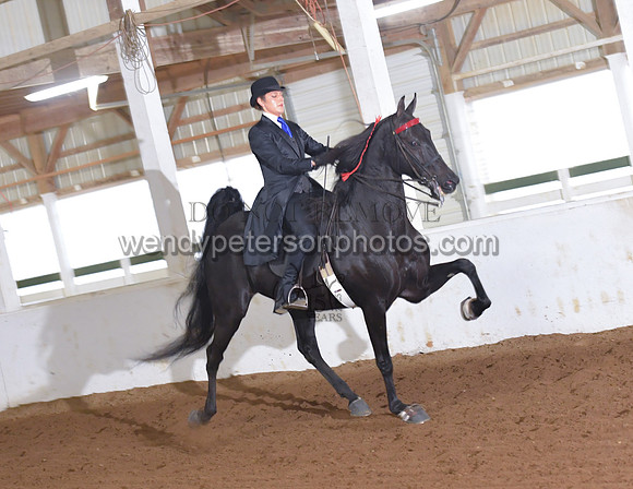 046_2173-Do_not_copy_PROOF