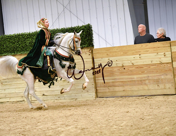 012_6425-Do_not_copy_PROOF