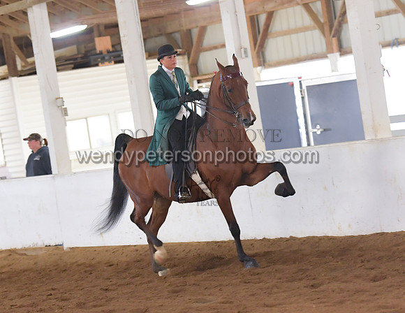 032_2079-Do_not_copy_PROOF