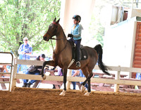 78. Academy Showmanship W/T, Riders 8 & Under
