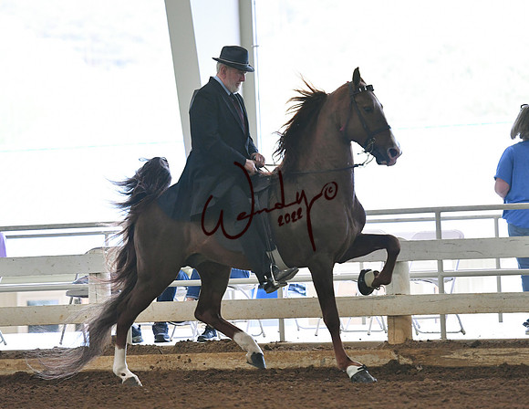 087_1818-Do_not_copy_PROOF