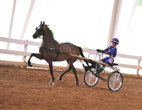 38. Single Roadster Pony to Bike, Jr. Exh.