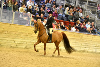 70 Hunter Seat Equitation NTJ-- 13 & Under
