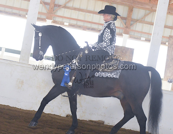 004_1581-Do_not_copy_PROOF