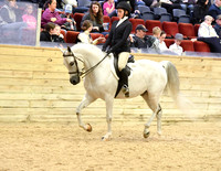 63 Hunter Seat Equitation NTJ-- JTR 14 to 18
