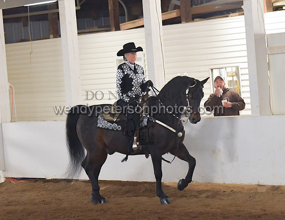 004_1555-Do_not_copy_PROOF