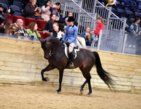 21 HA/AA Hunter Pleasure JTR 15-18