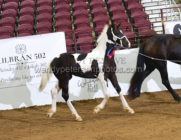2026BPANA10-7301-Do_not_copy_PROOF