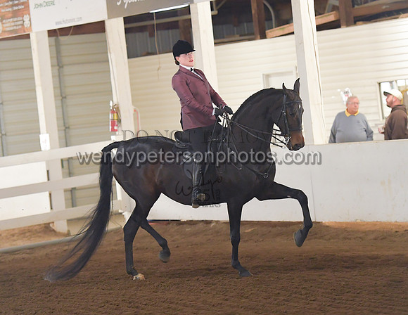 002_1528-Do_not_copy_PROOF