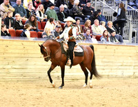 60 PB Western Pleasure AAOTR