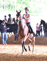65. Academy Equitation W/T/C, Jr. Exh.