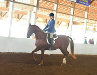 051 Cob Saddleseat Pleasure Walk Trout 11U Stake