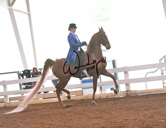035_0343-Do_not_copy_PROOF