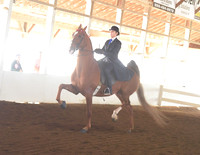 013 ASB Three Gaited Park Open
