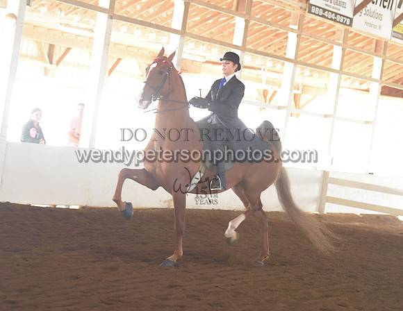 013_1832-Do_not_copy_PROOF
