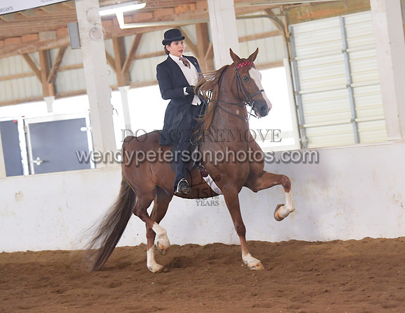 032_2087-Do_not_copy_PROOF