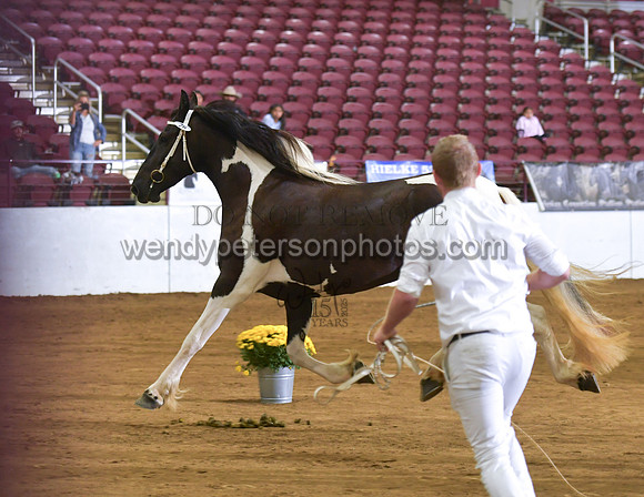 2026BPANA10-7055-Do_not_copy_PROOF